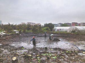 滨州河道鱼塘清淤